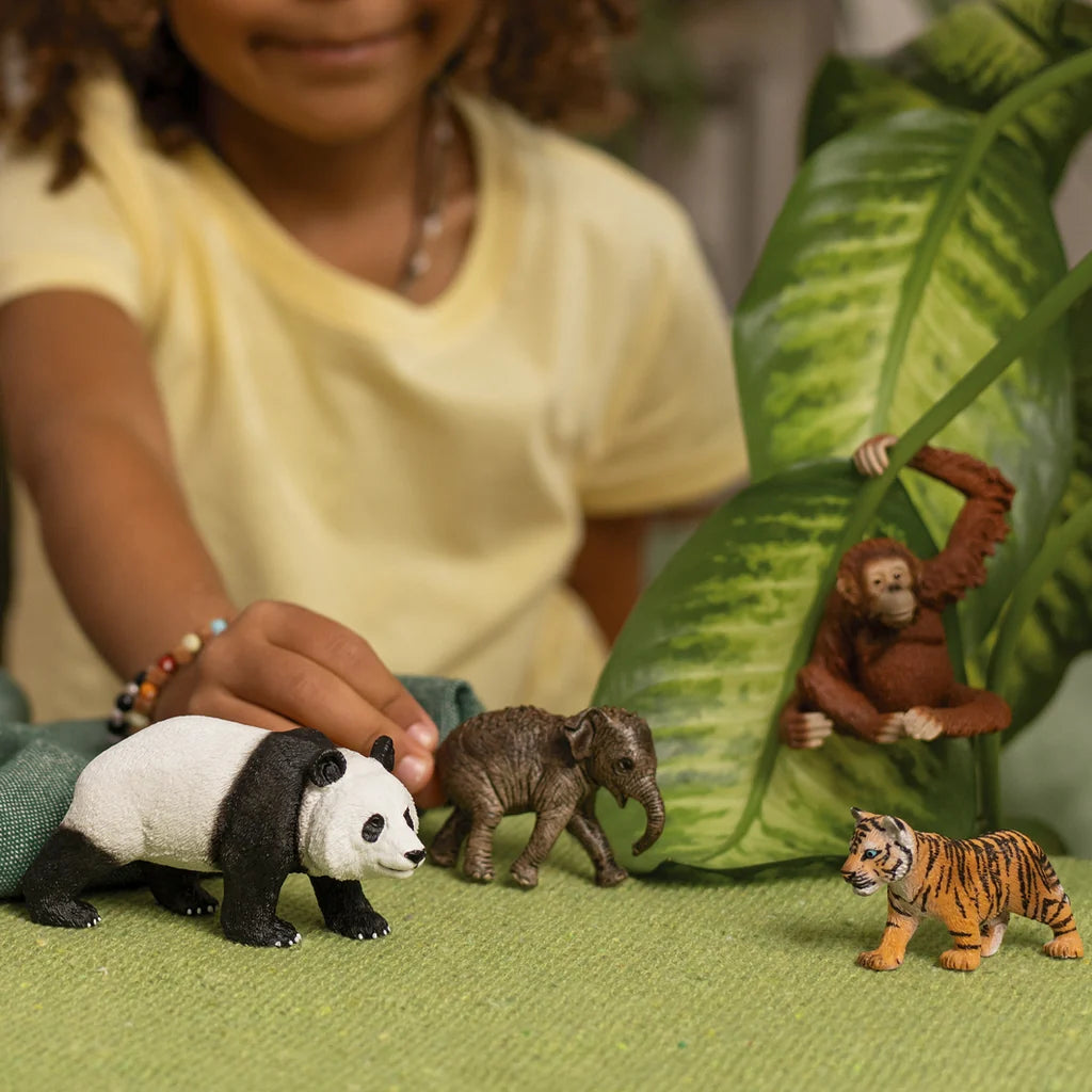 Asia Starter Set - Schleich Wild Life 42736