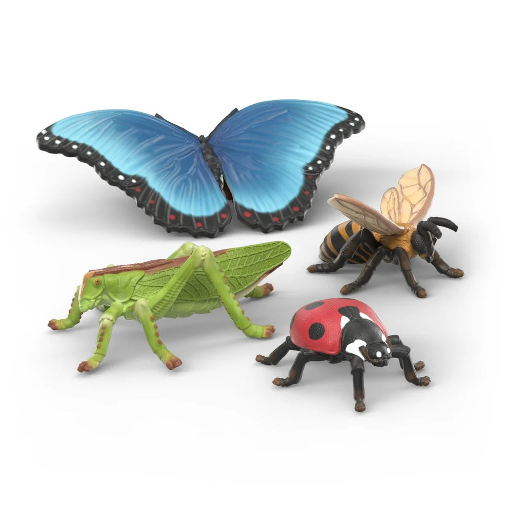 Insects Discovery Set  - Schleich  Wild Life 42741