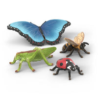 Insects Discovery Set  - Schleich  Wild Life 42741
