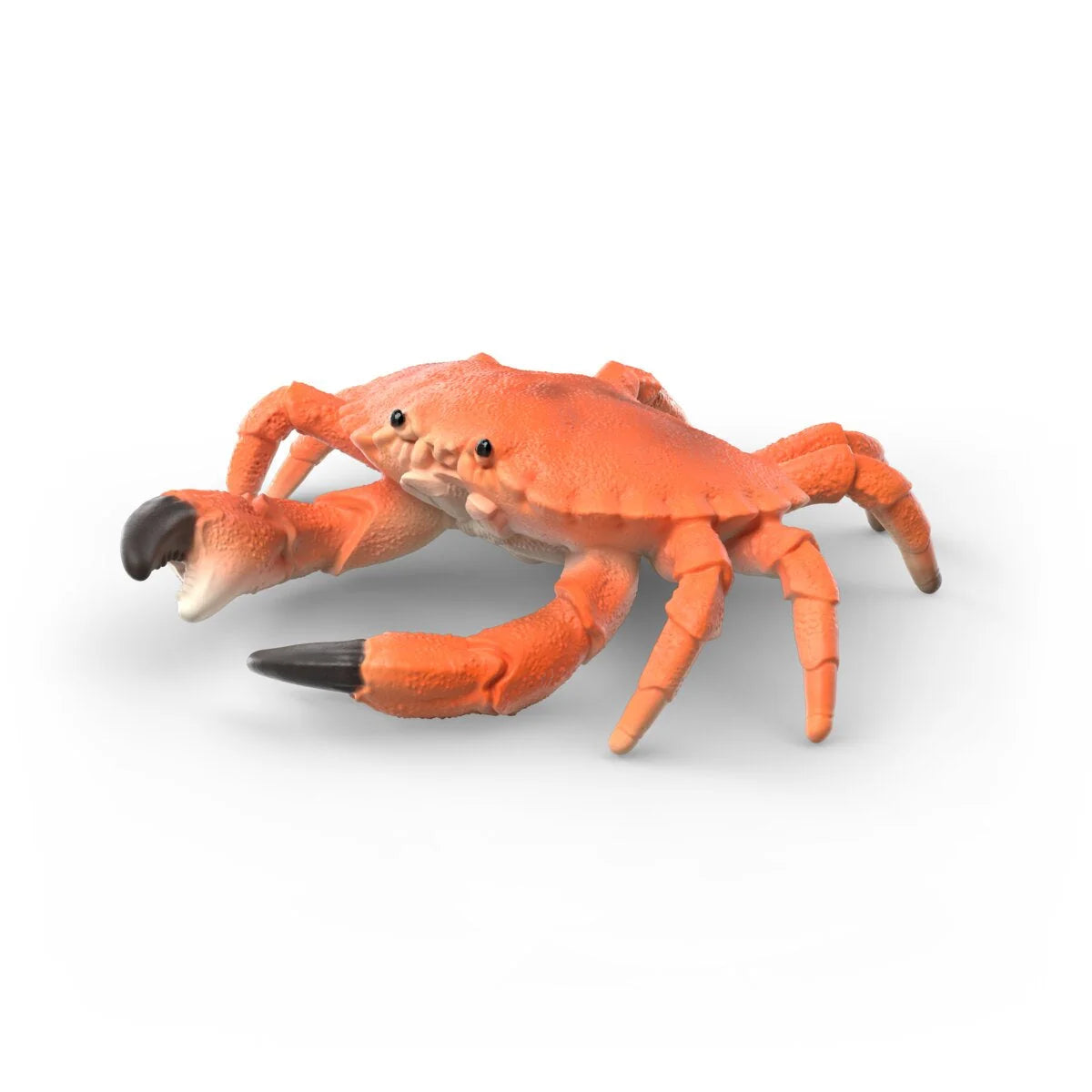 Sea Animals Discovery Set  - Schleich Wild Life 42742