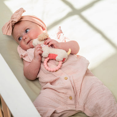 Mary Meyer Dancing Dachshund Teether Rattle