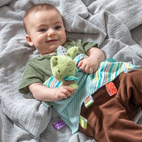 Mary Meyers Peepers Frog 13" Taggies Blanket