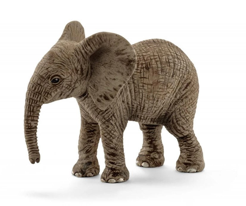 Schlecih Wild Life African Elephant Calf 14763
