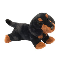 Douglas Dotti Dachshund