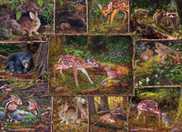 Into the Woods (Family) | Family Pieces 350