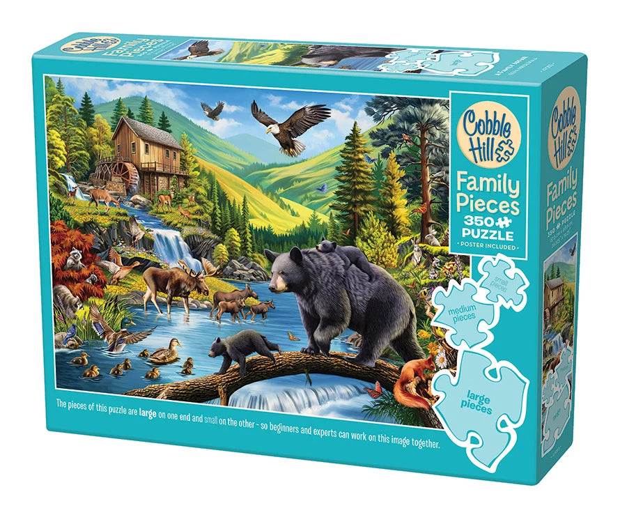 A Family Affair (Family) | Family Pieces 350