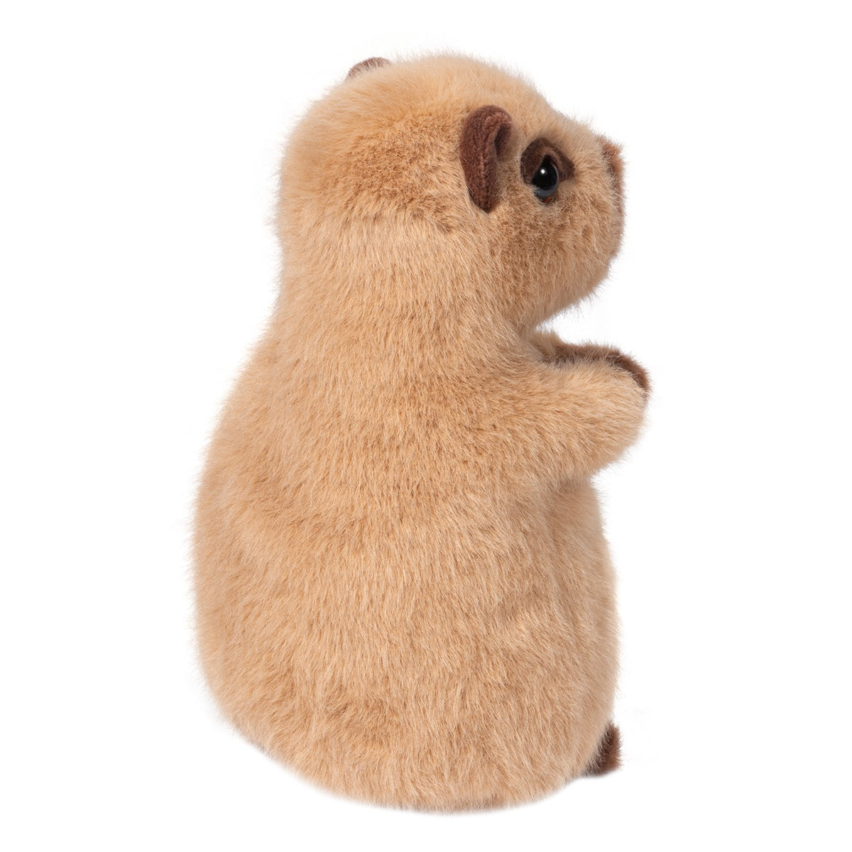 Douglas Toys Chattie Capybara Mini Soft