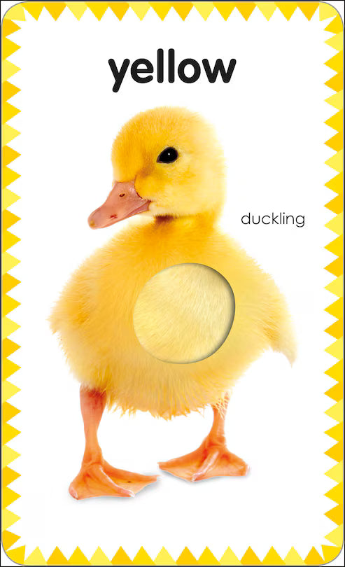 Dk Books Colours And Shapes: My First Touch And Feel Cards