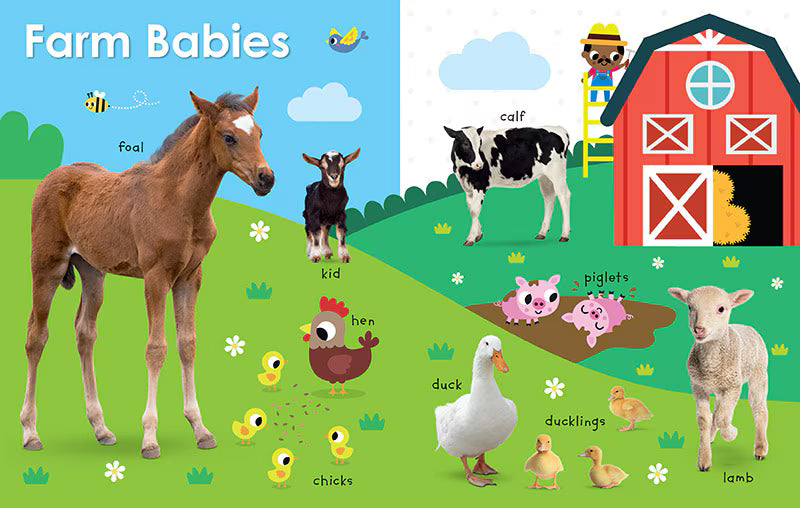 My First Canadian Baby Animals