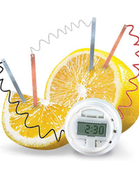 4M Lemon Clock