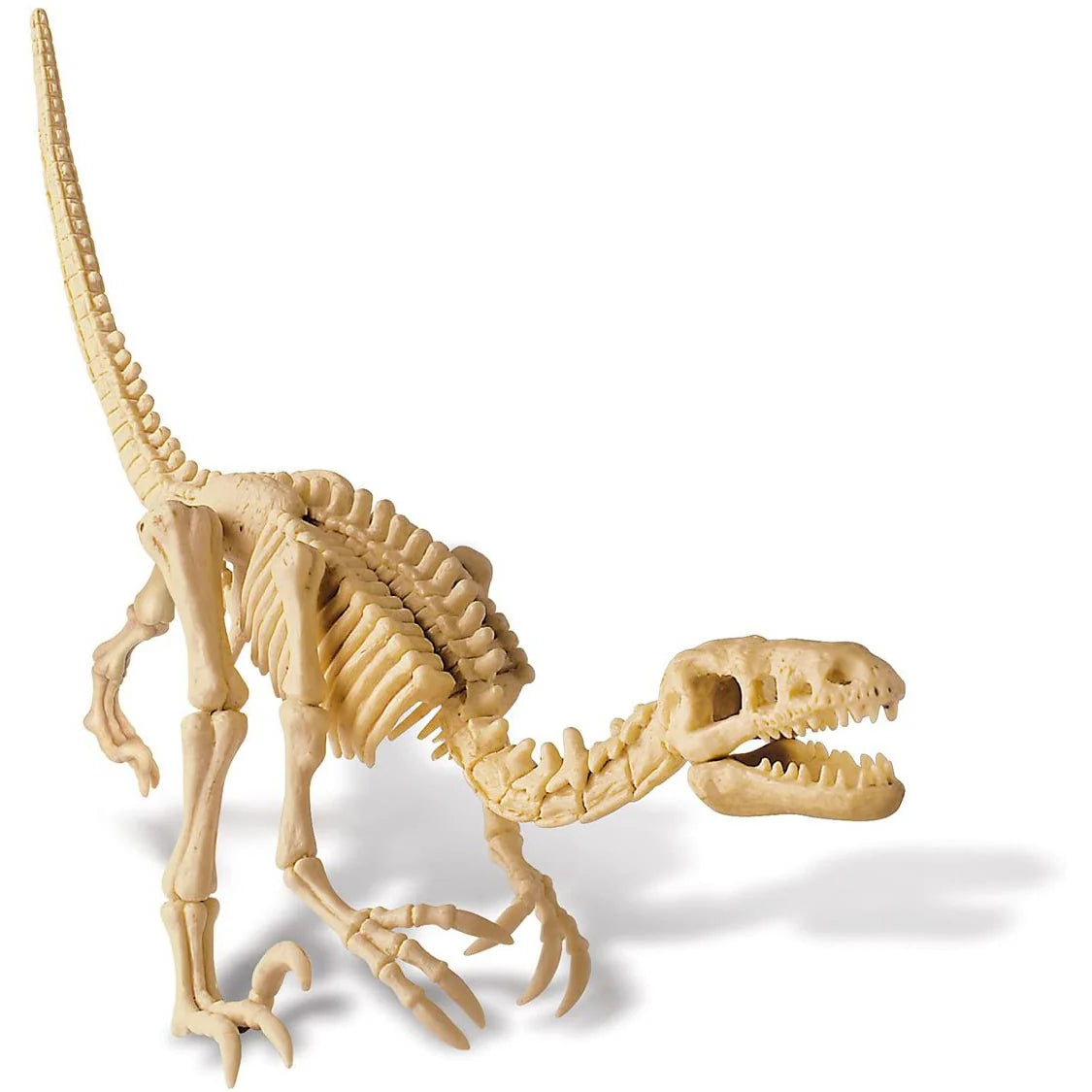 4M Dig A Velociraptor