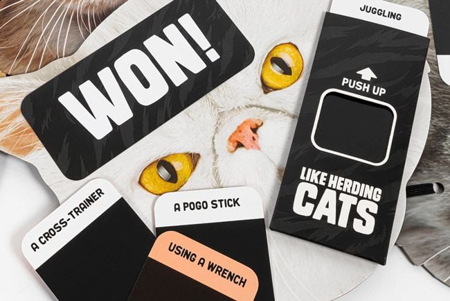 Professor Puzzle Herding Cats