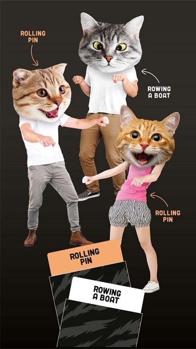 Professor Puzzle Herding Cats