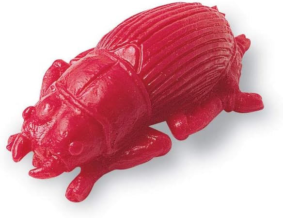 Learning Resources Backyard Bugs Counters
