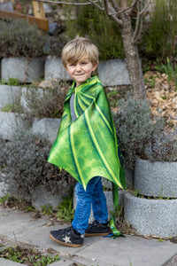 Great Pretenders Legendary Dragon Soft Wings & Mask 4-6 Years