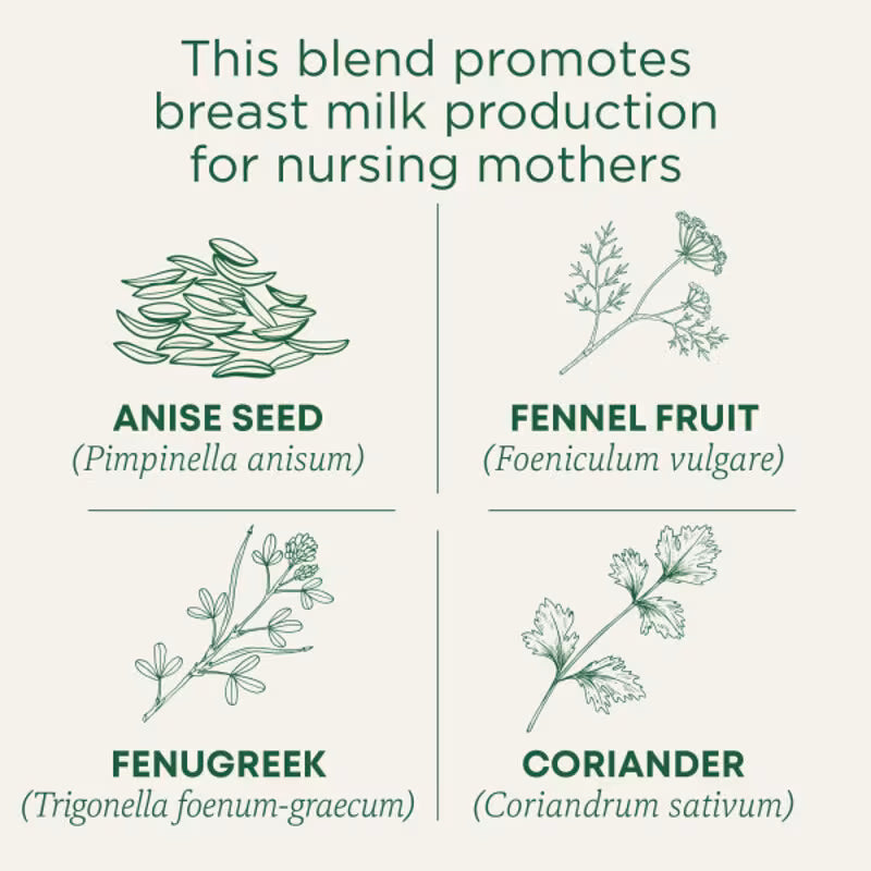 Traditional Medicinals Organic Mother's Milk