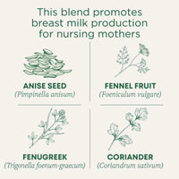 Traditional Medicinals Organic Mother's Milk