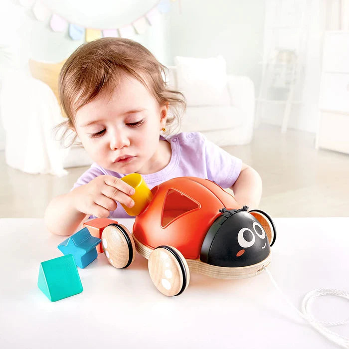 Hape Shape Sorter Ladybug