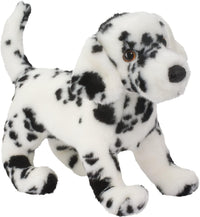 Douglas Winston Dalmatian