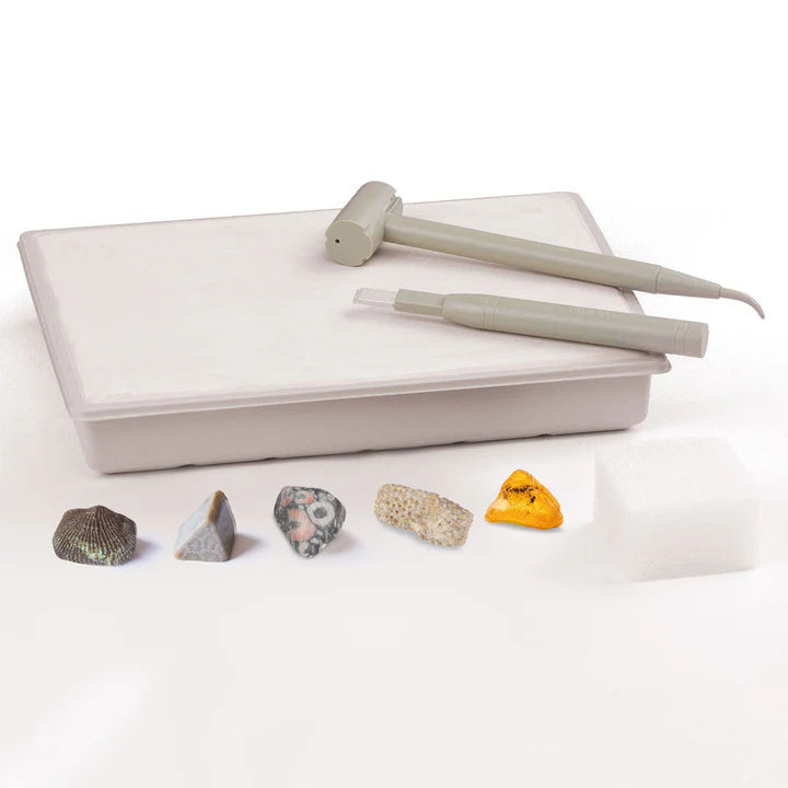 Thames & Kosmos I Dig It! - Fossils - Real Fossils Excavation Kit