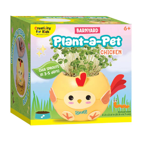 Creativity For Kids Chicken Plant A Pet