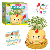 Creativity For Kids Chicken Plant A Pet