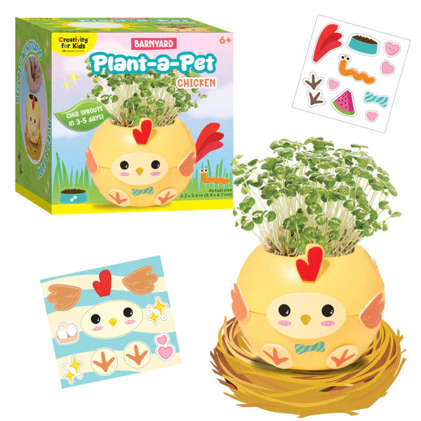 Creativity For Kids Chicken Plant A Pet