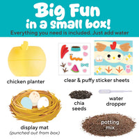 Creativity For Kids Chicken Plant A Pet