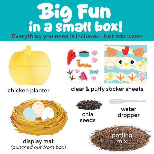 Creativity For Kids Chicken Plant A Pet