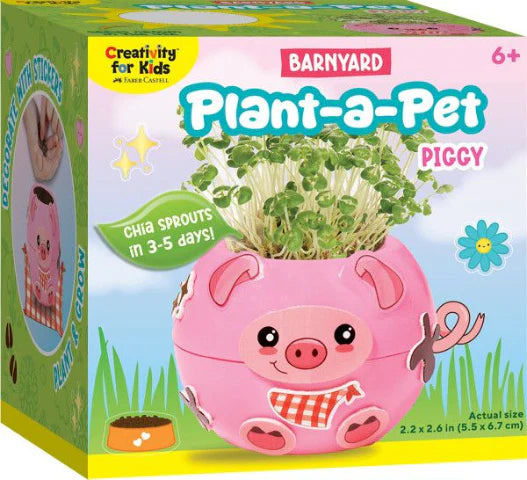 Creativity For Kids Piggy Plant A Pet