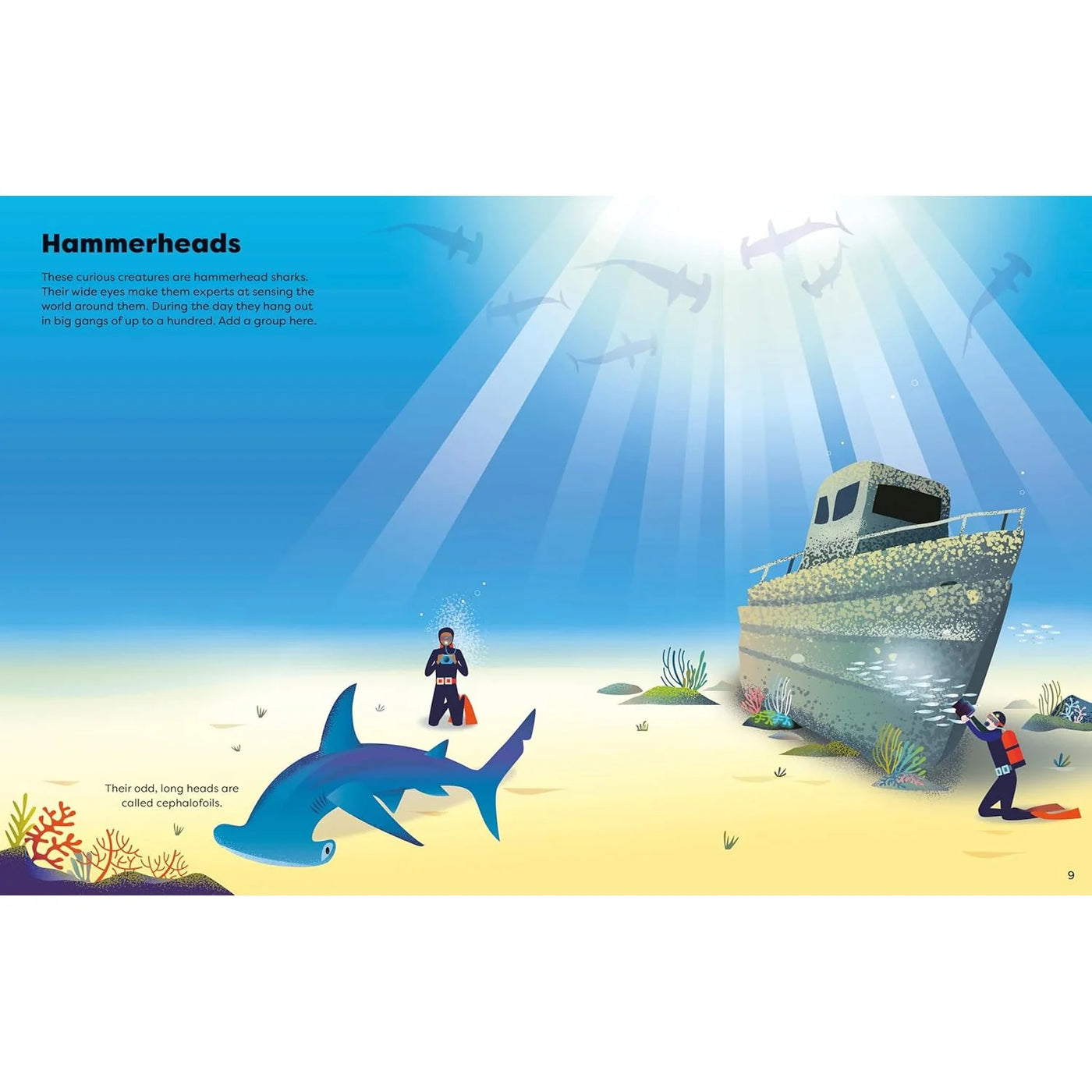 Usborne Big Sticker Book Of Sharks