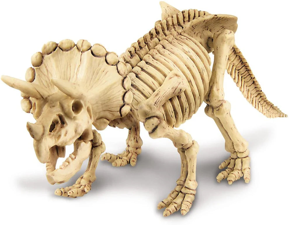 4M Dig A Triceratops