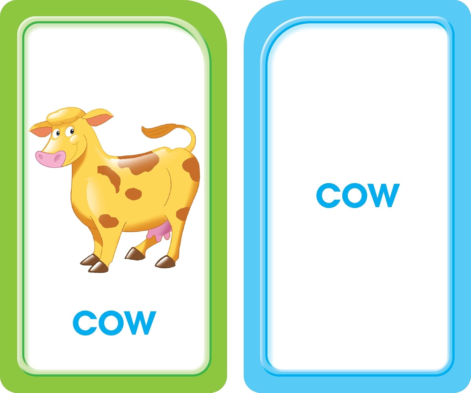 School Zone Picture Word Flashcards