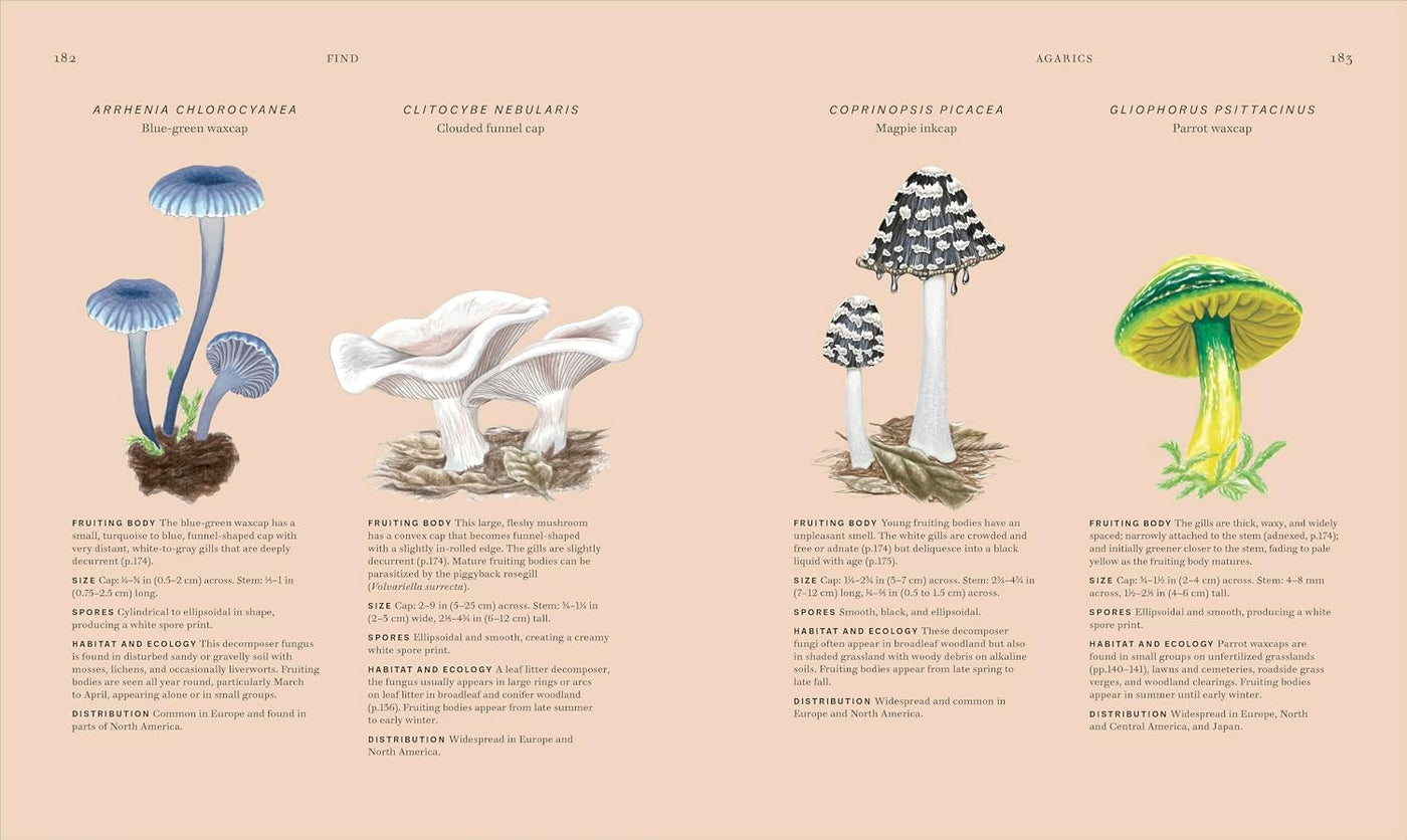 Fungi Discover the Science and Secrets Behind the World of Mushrooms - Lynne Boddy and Ali Ashby