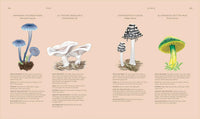 Fungi Discover the Science and Secrets Behind the World of Mushrooms - Lynne Boddy and Ali Ashby