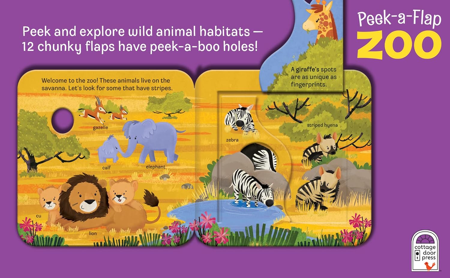 Jaye Garnett Zoo Lift-the-Flap Book
