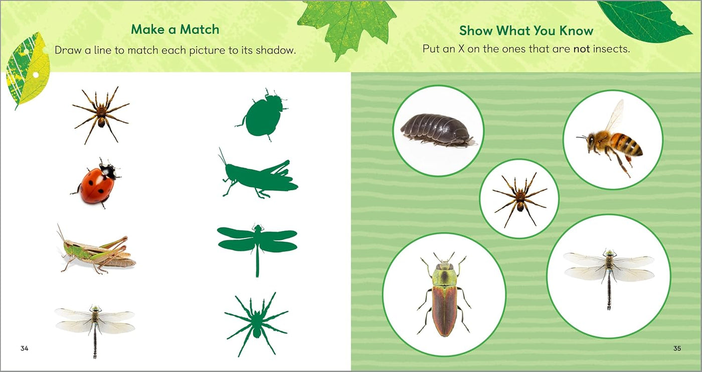 The Backyard Bug Book for Kids Storybook, Insect Facts, and Activities