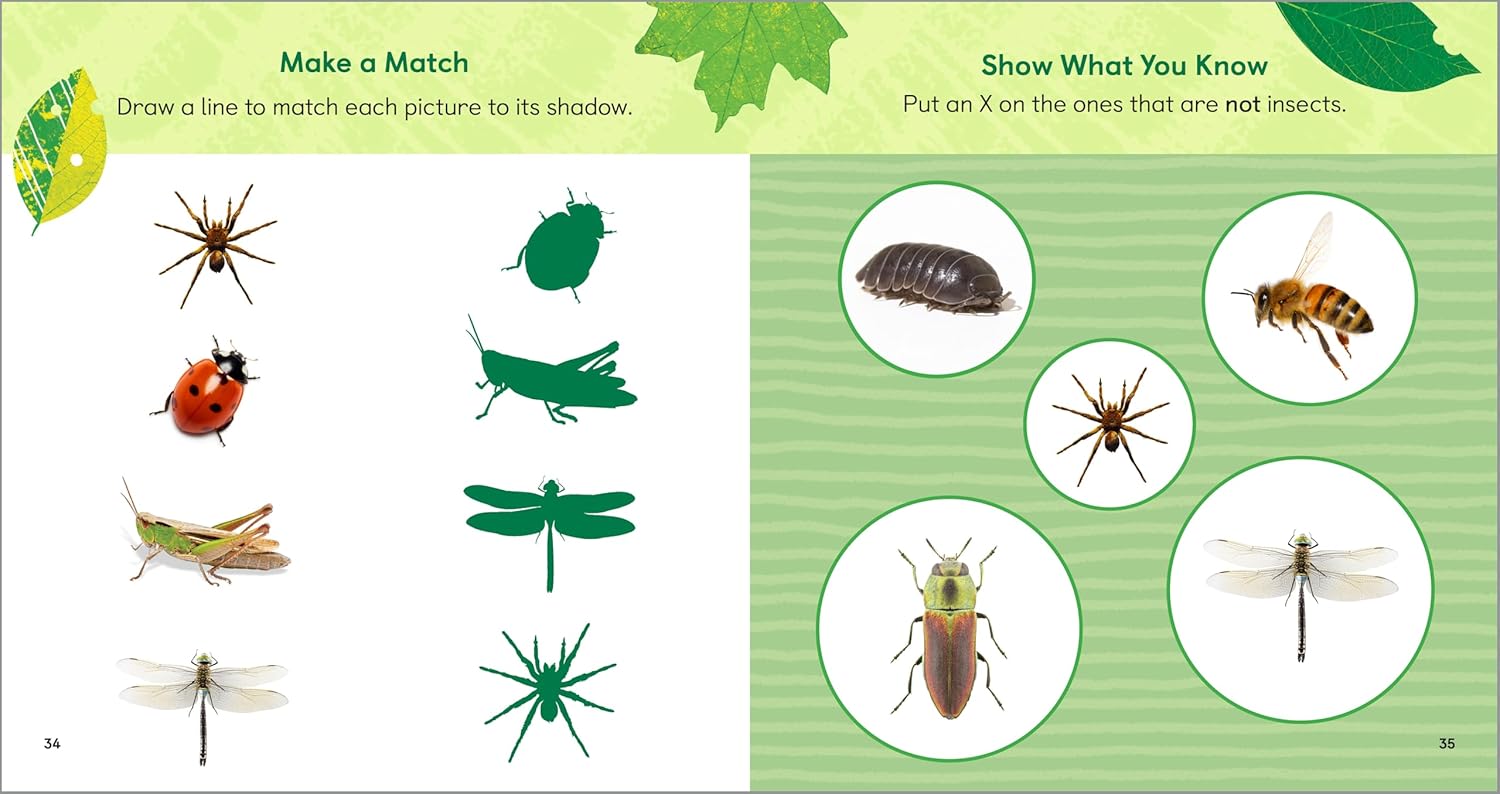 The Backyard Bug Book for Kids Storybook, Insect Facts, and Activities