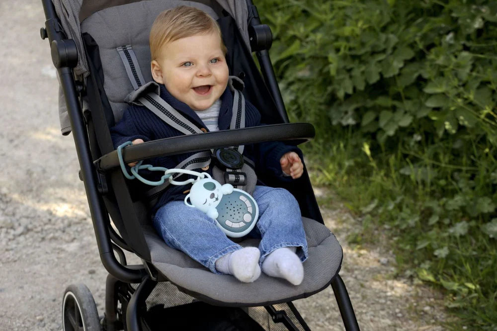 Cloud B Dog - Sweet Dreamz On the Go