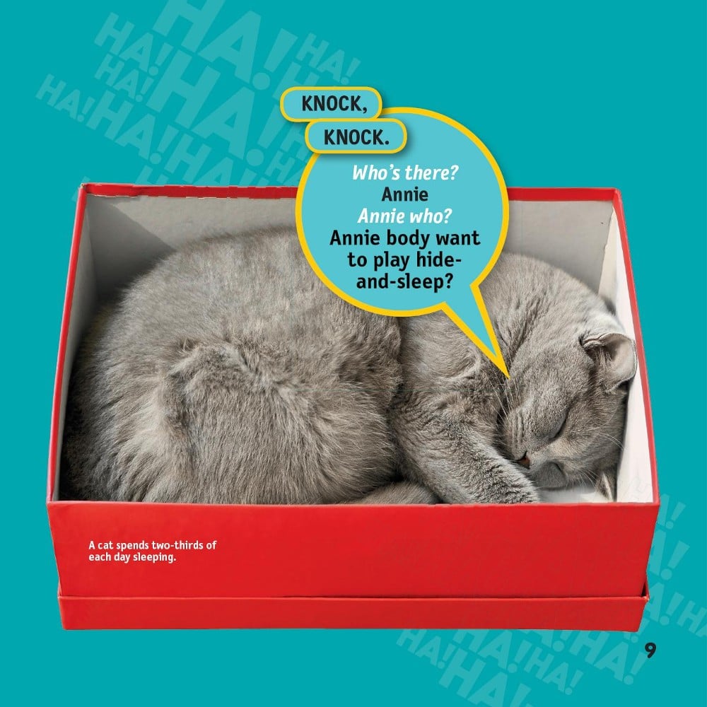 National Geographic Kids Just Joking Cats