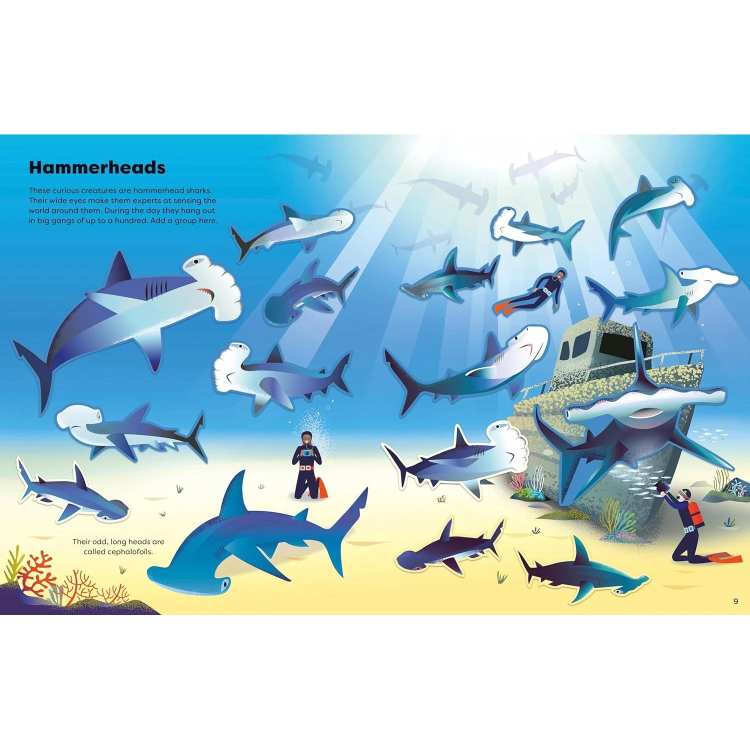 Usborne Big Sticker Book Of Sharks