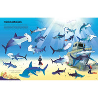 Usborne Big Sticker Book Of Sharks