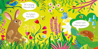 Usborne Lift-The-Flap Play Hide & Seek With Bunny