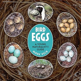 Bird Eggs : A Young Naturalist's Guide