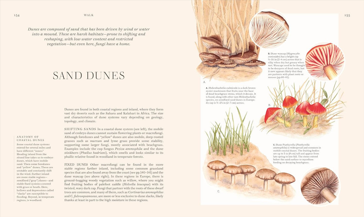 Fungi Discover the Science and Secrets Behind the World of Mushrooms - Lynne Boddy and Ali Ashby