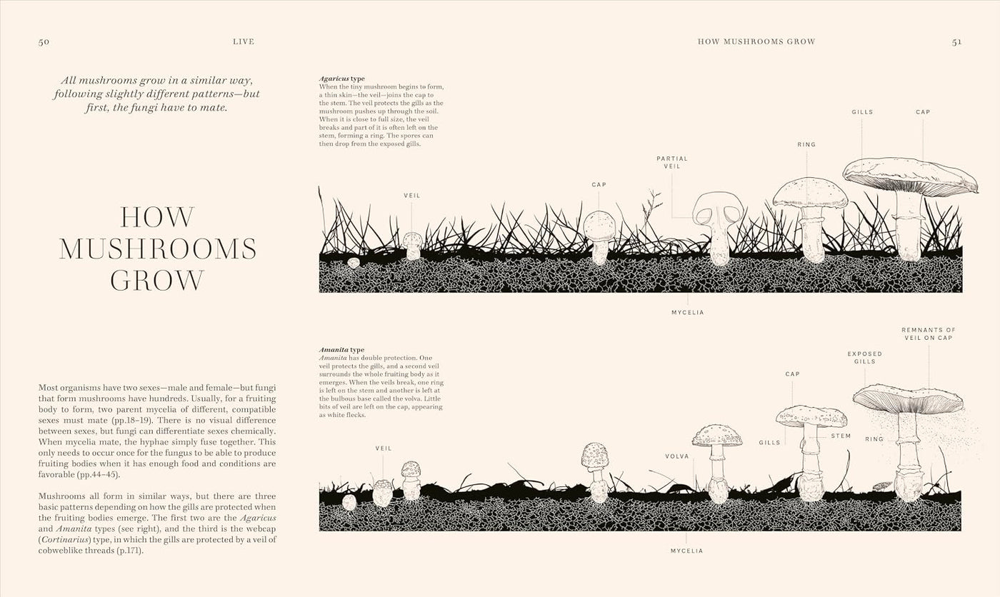 Fungi Discover the Science and Secrets Behind the World of Mushrooms - Lynne Boddy and Ali Ashby