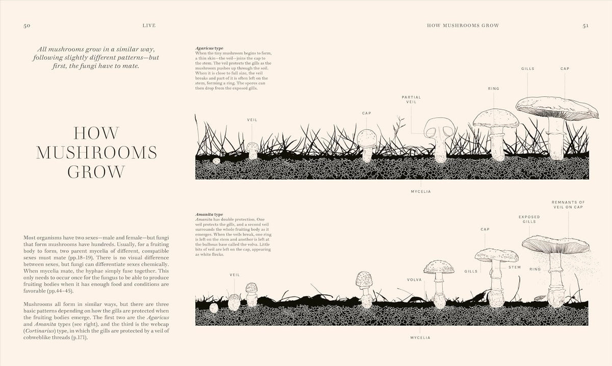 Fungi Discover the Science and Secrets Behind the World of Mushrooms - Lynne Boddy and Ali Ashby