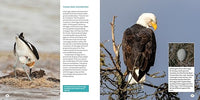Bird Eggs : A Young Naturalist's Guide