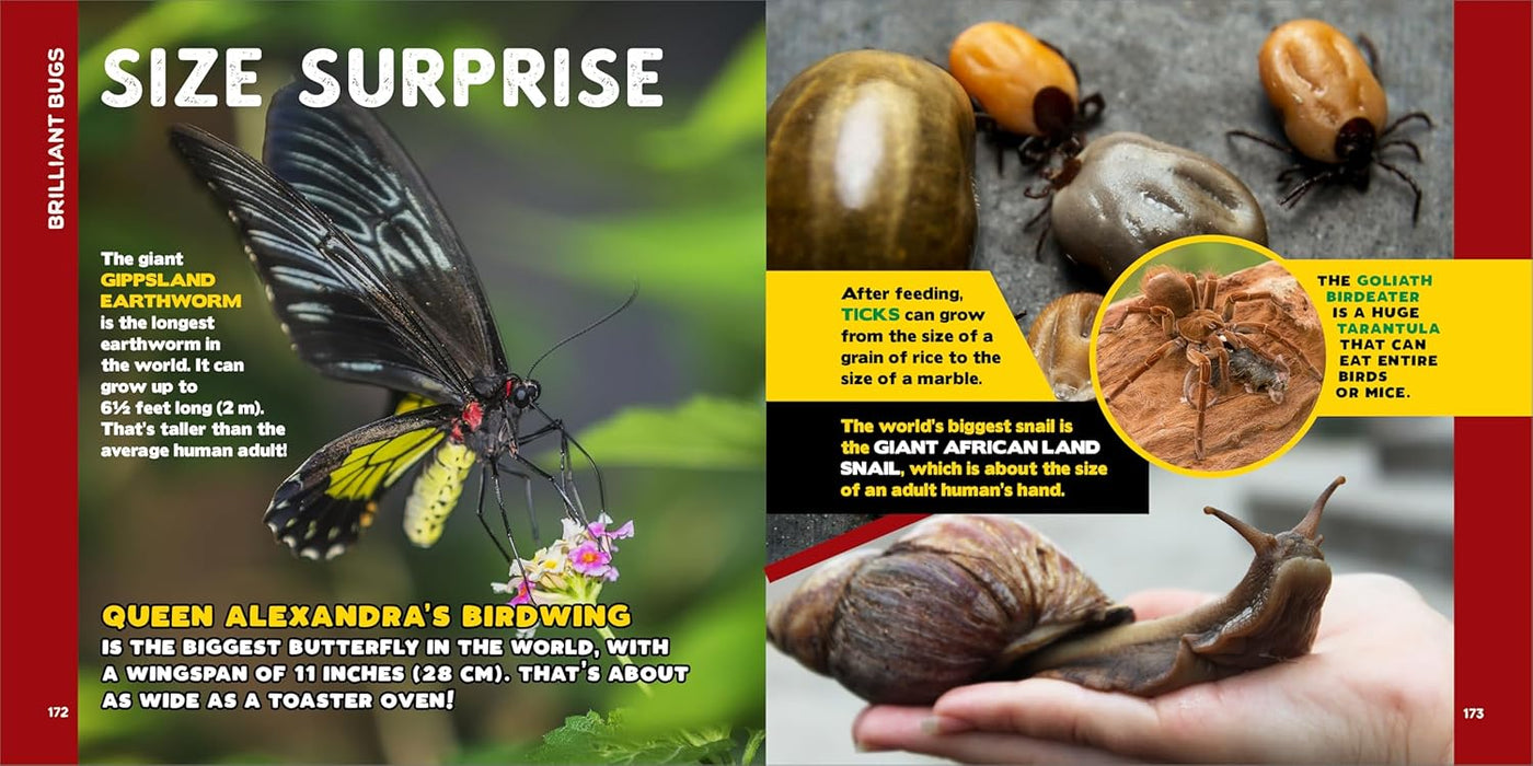 The Fascinating Bug Book for Kids -  500 Startling Facts!