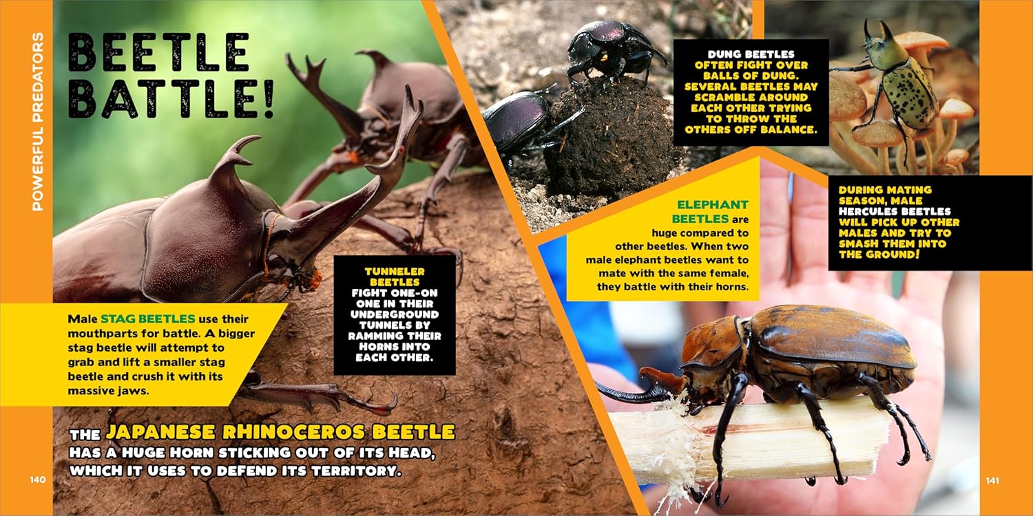 The Fascinating Bug Book for Kids -  500 Startling Facts!